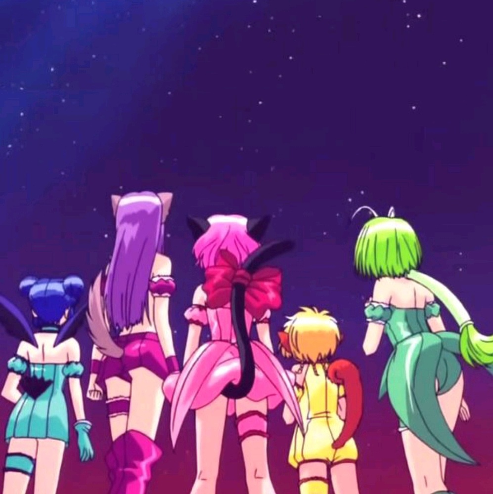 Meet your Posher, Celeste